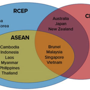 AI HƯỞNG LỢI NHIỀU NHẤT TRONG HIỆP ĐỊNH RCEP